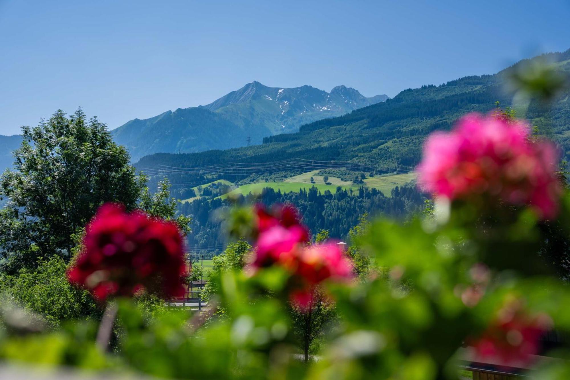 Appartement Am Tatscherlehen Piesendorf Esterno foto